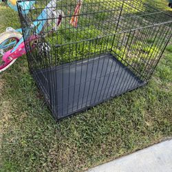 Dog Cage 