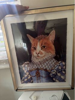 Framed vintage classic cat photos