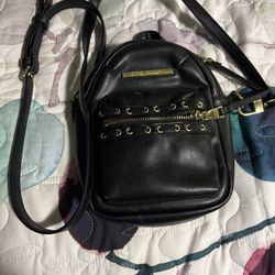 Steve Madden side purse