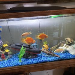 50 Gallon Fish Tank 