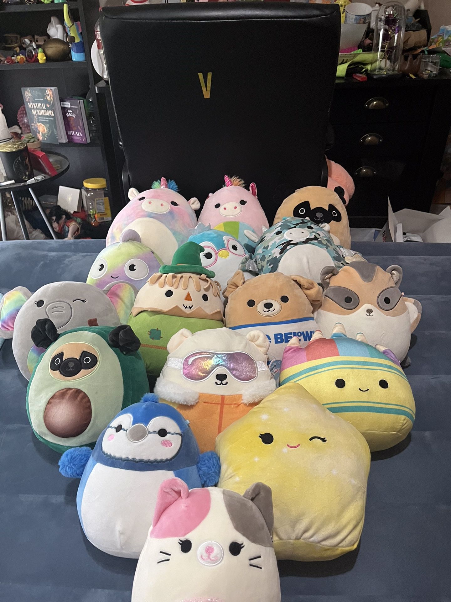 16 medium sized squishmallows