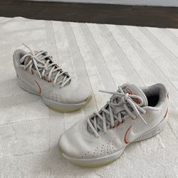 Nike Lebron XXI 21 Basketball Shoes Men’s Size 10