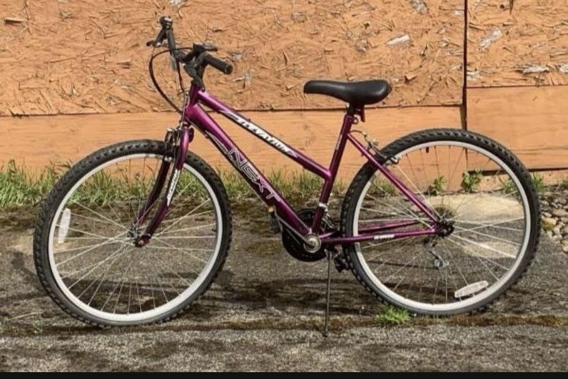 Next Elevation Mountain Bike (needs work)