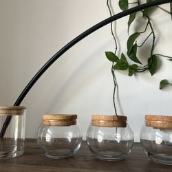 Water Plant Glass jars 