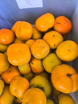 Organic fuyu persimons