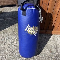 Everlast Punching Bag