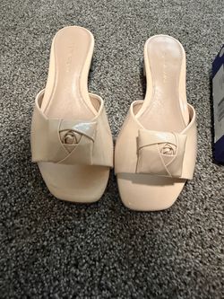 Stuart Weitzman Shoe Box