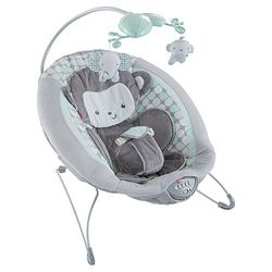 FREE Fisher Price Sweet Surroundings Monkey Deluxe Bouncer