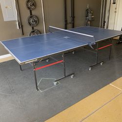 Ping Pong Table