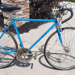 Vintage Schwinn World Traveler 