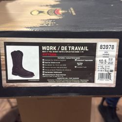 Irish Setter Kittson 