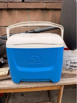 28QT Igloo Cooler