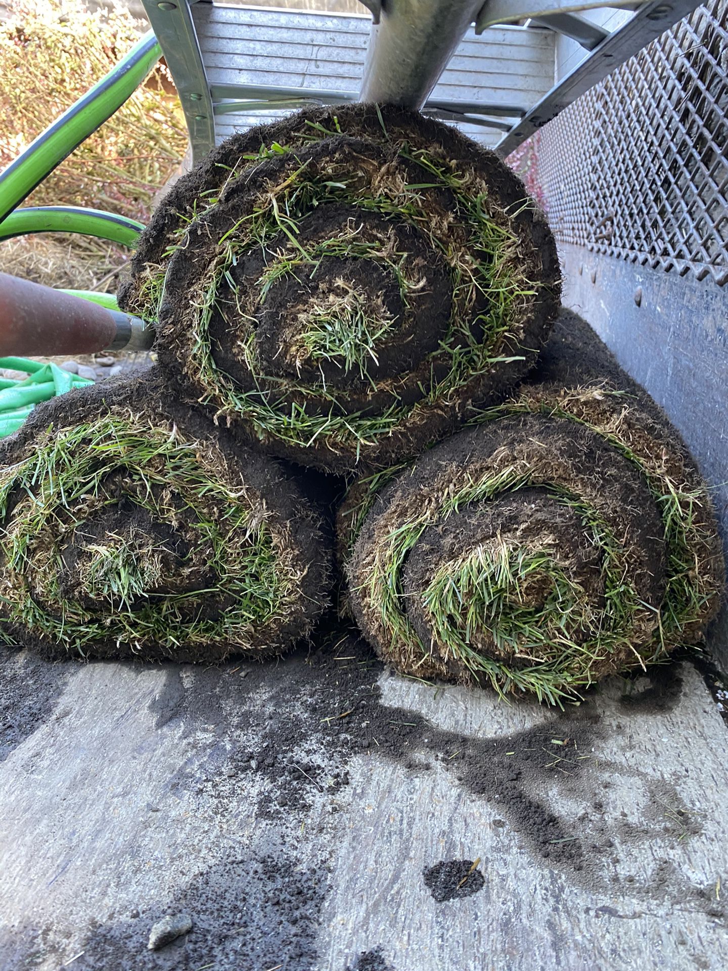 3 rolls of sod