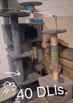 Cat Tree and scratcher