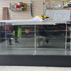 Glass Case With Light