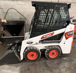 Bobcat