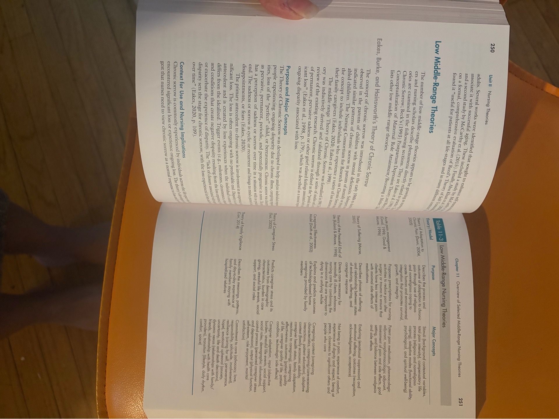 Theoretical Basis for Nursing 6th Edition Almost New! $85