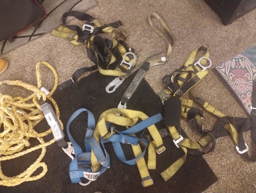 Tree Climing
