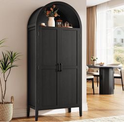 Black Arched Top Storage Cabinet with Doors