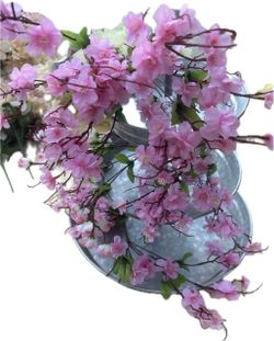 Floral garden brand, pink blooming branches