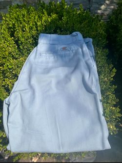 Dickies x Urban Outfitters Sky Blue Pants 