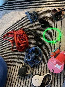 Dog Toys, Leashes, Collars, Supplies