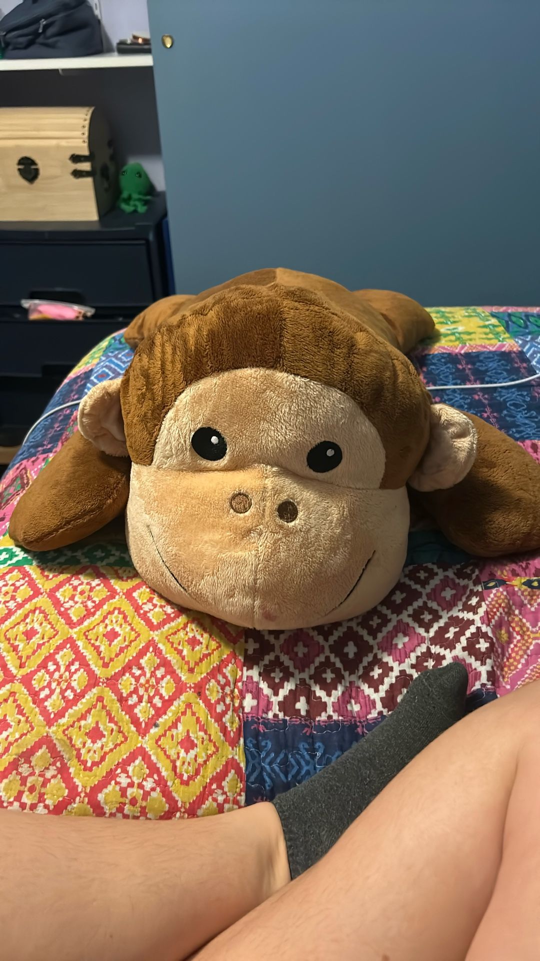 Stuffed Monkey 