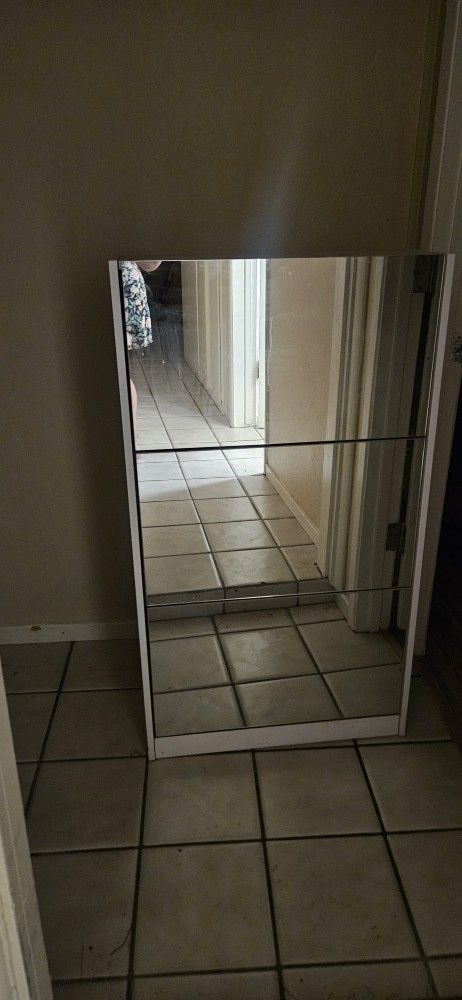 Mirror Storage Cabinet With Shoe Rack