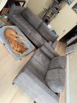 Couches