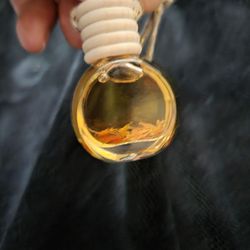 Mandarin Car Air Freshener - Oil Diffuser Aromatherapy