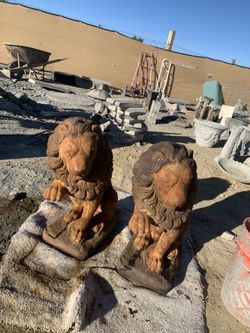 sitting lion
