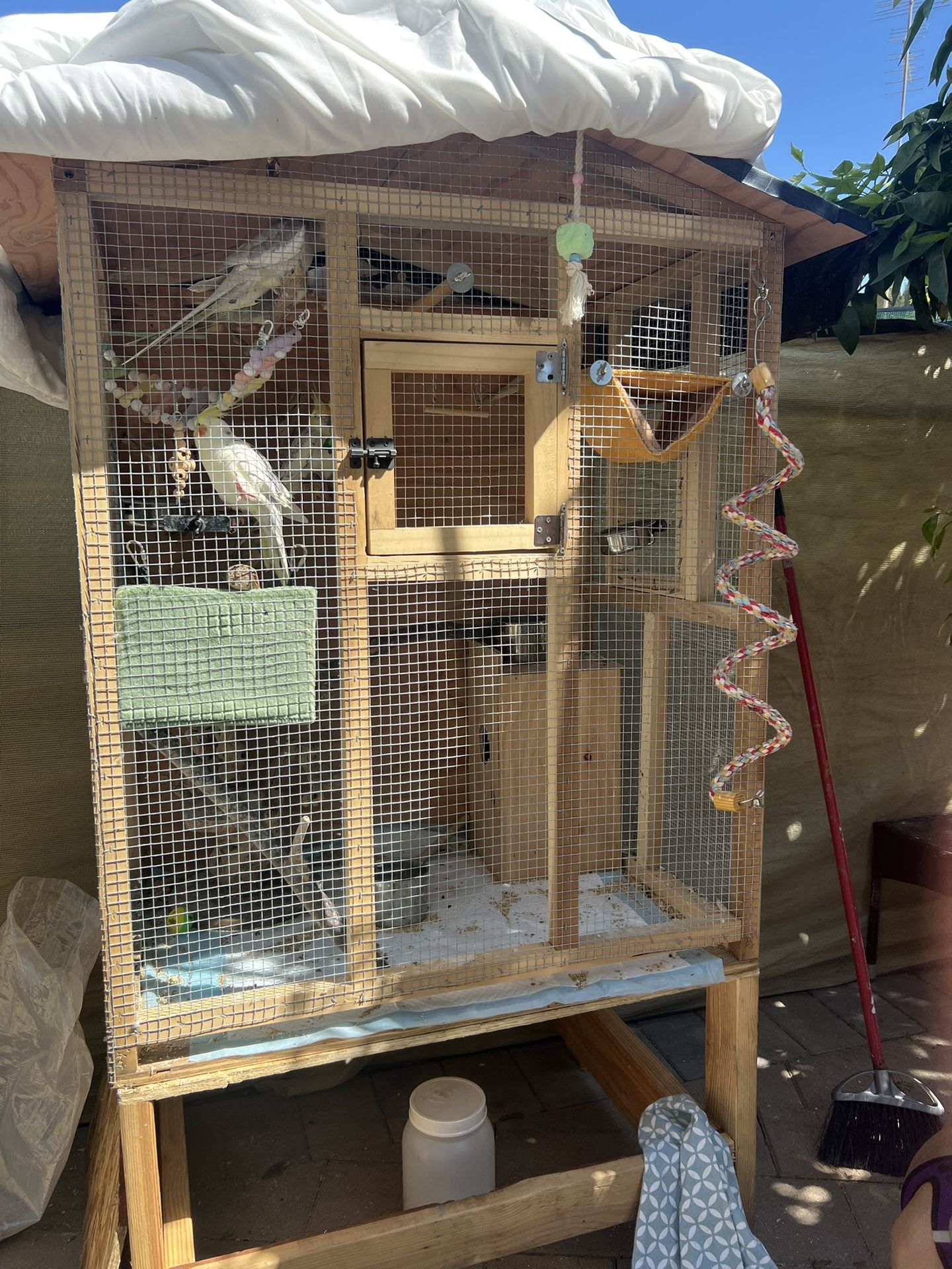 Bird Cage