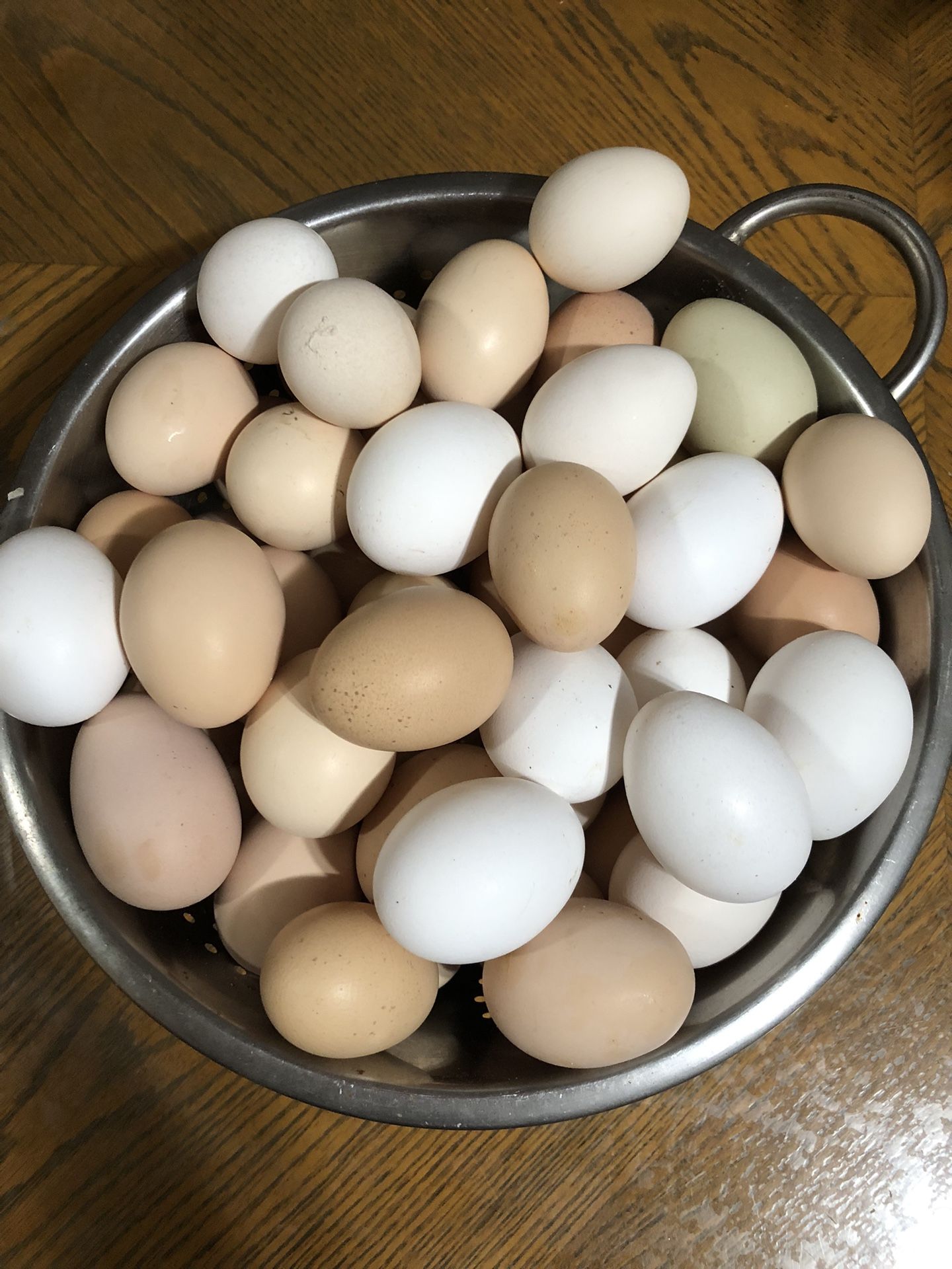 huevos frescos de gallina