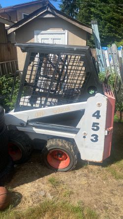 Bobcat