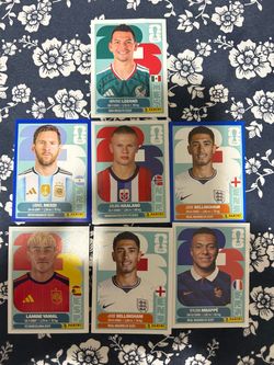 Panini stickers