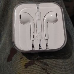 Apple Earth Pods New