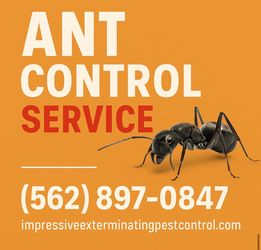Ant GEL BAIT .. 