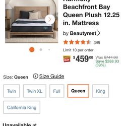Queen Bed beauty rest