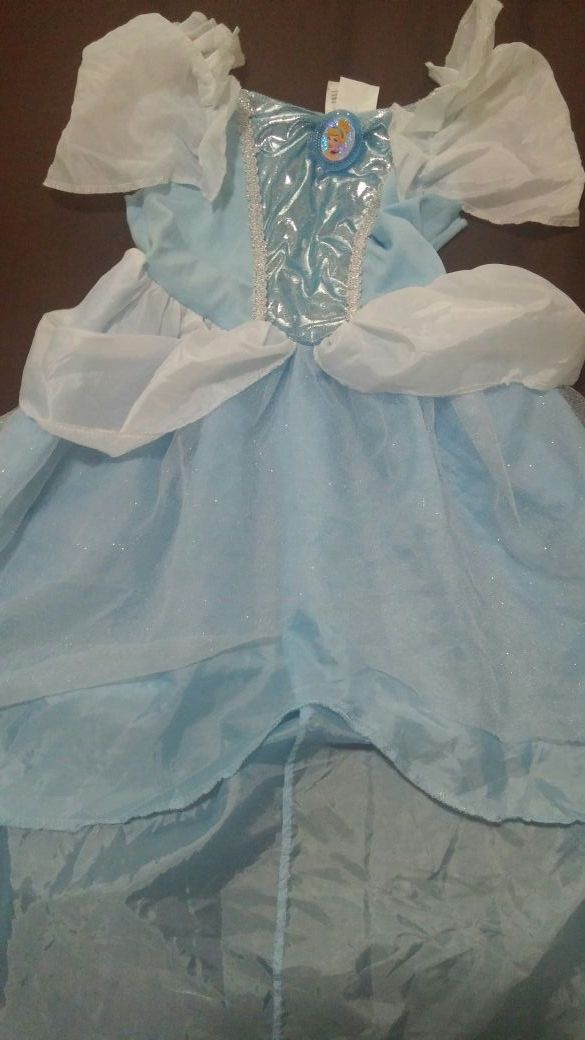 Cinderella costume