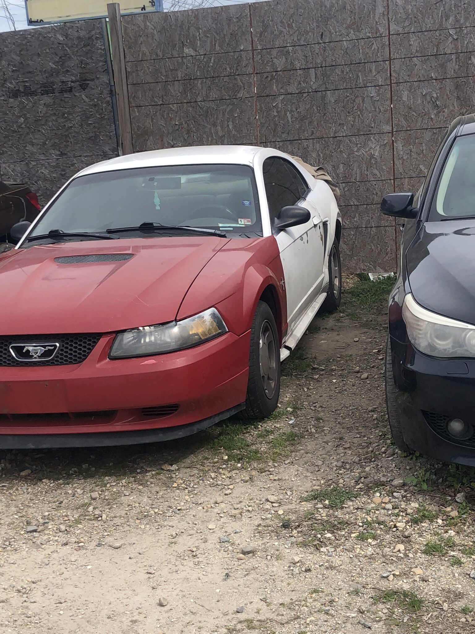 2001 Ford Mustang