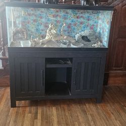 bearded dragon habitat with stand