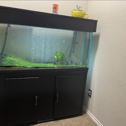 55 Gallons Aquarium (fish Tank) With Canister, Filter, Electronic Heater, Air Pump And Decoration Stuff.