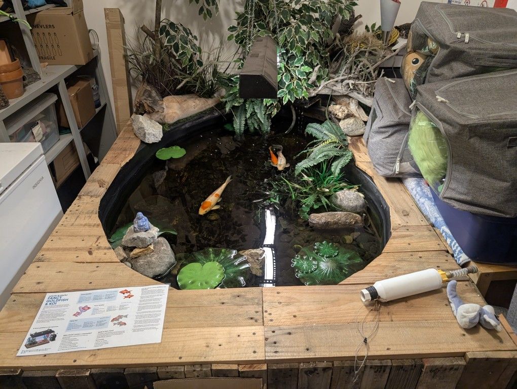 Koi Pond -  Everything Included Except Koi