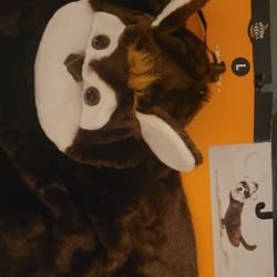 Pet costume