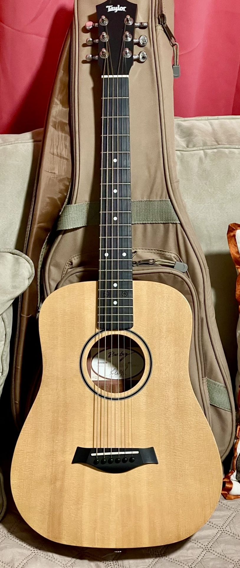Baby Taylor Guitar BT1