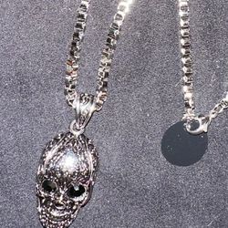 SKULL Necklace with 20” Chain and Pendant
