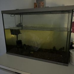 15 Gallon Fish Tank 
