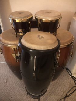 CONGAS !!! CONGAS !!!  CONGAS !! 