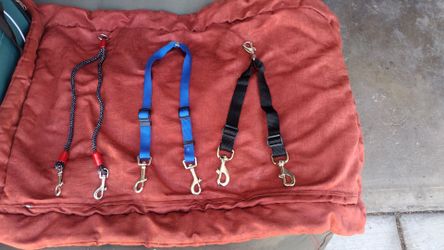 Double leash attachment