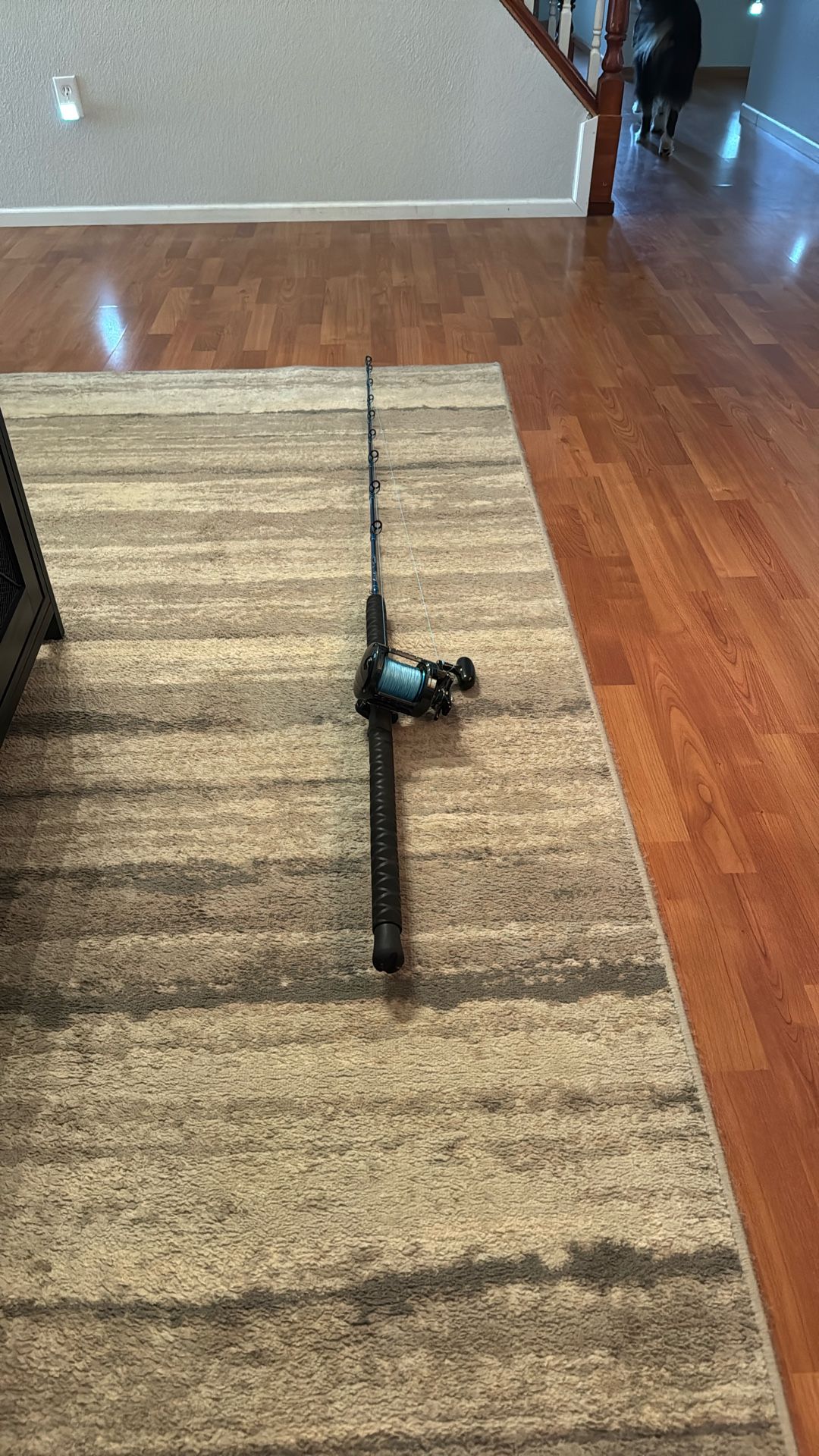 Lamiglas Blue water Rod 5’8” And Diawa Saltist LW 50HB With 80lb Braid!